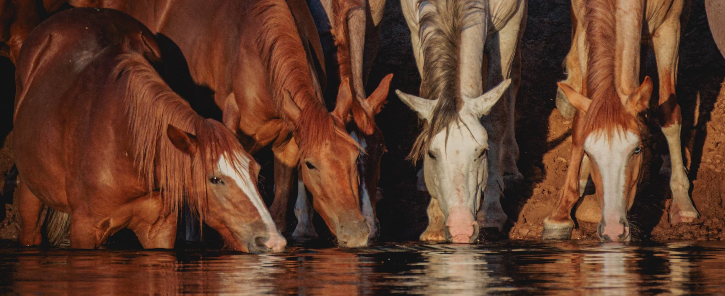 canyon rock background