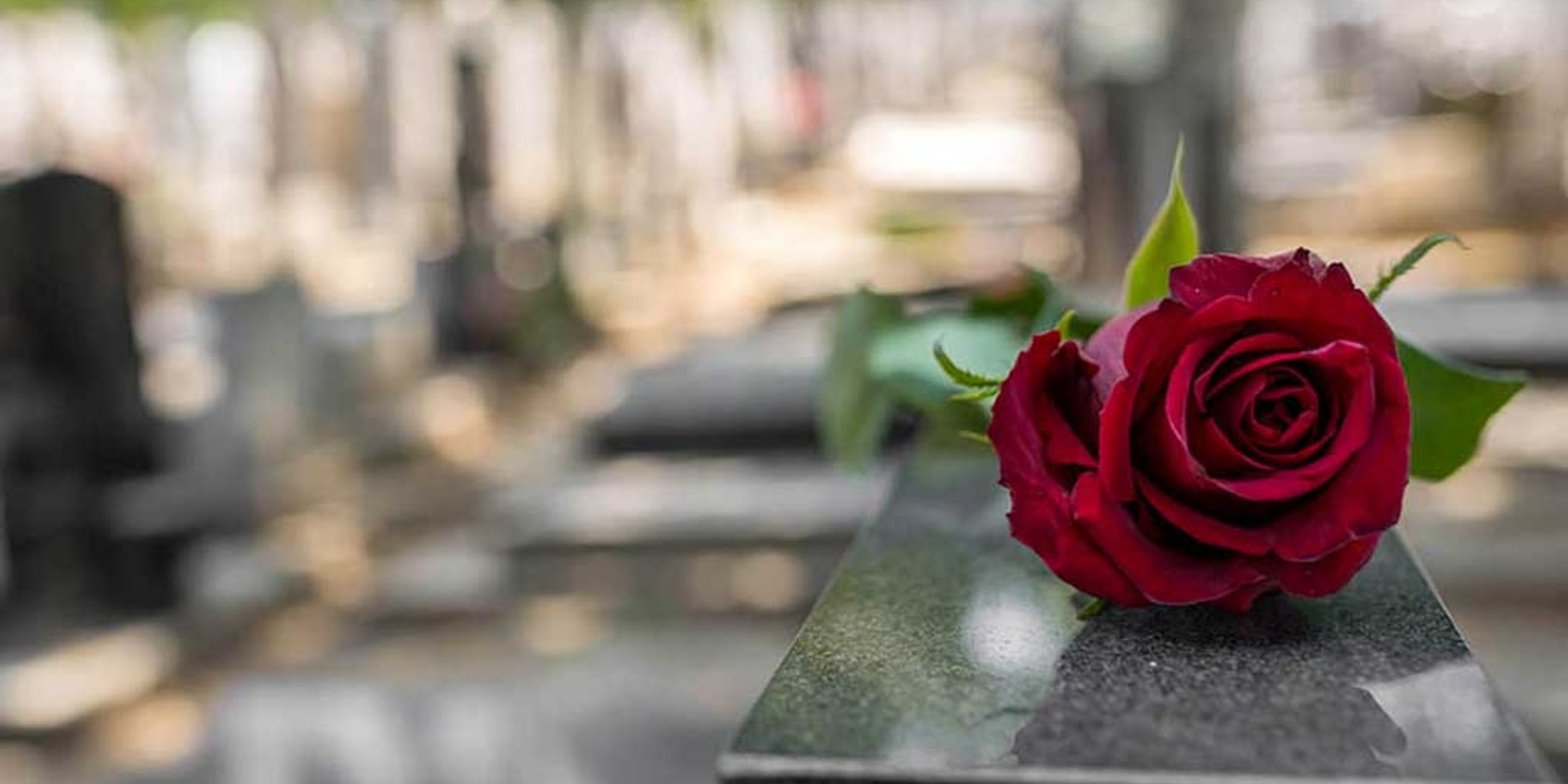 Traumatic Brain Injury and Premature Death After A Car Accident