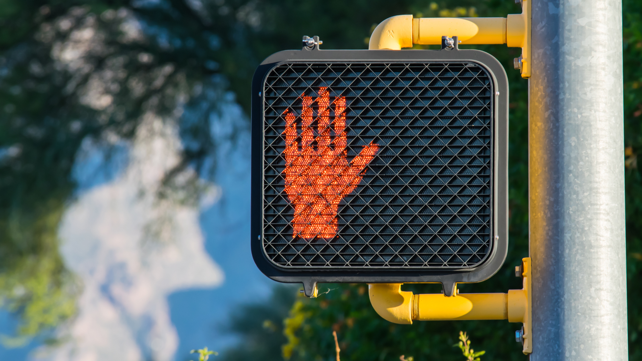 hit in a crosswalk